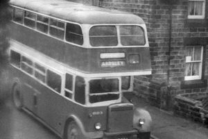Ardsley bus